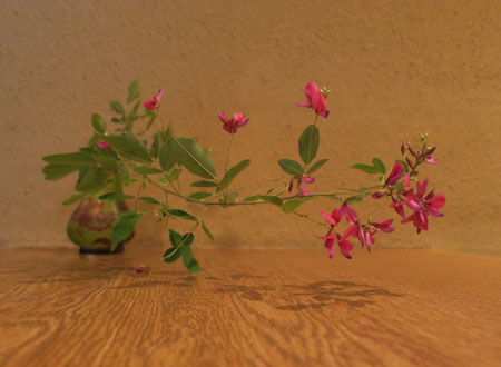 芸術の秋、花瓶にお花を挿していただきました。その2_c0108595_2354981.jpg