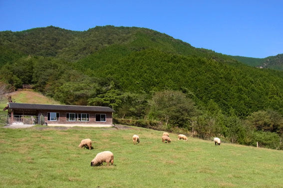 e0083097_19203.jpg