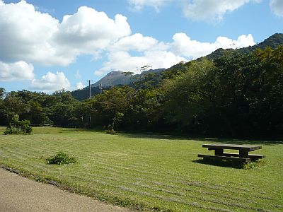 e0198197_1528176.jpg