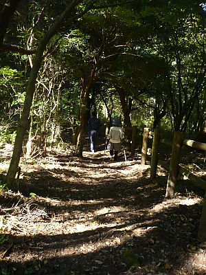 e0198197_1584546.jpg