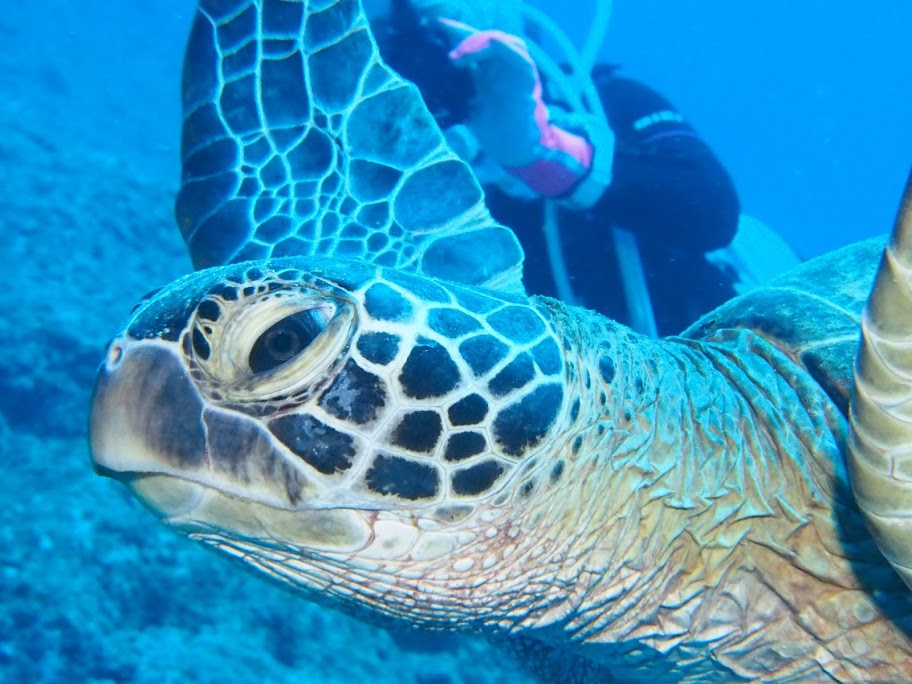 a0201201_11383355.jpg