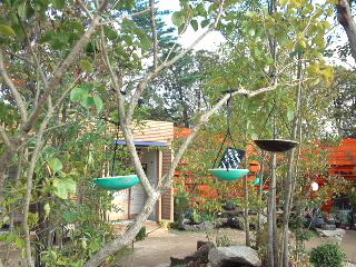 a0180208_043862.jpg
