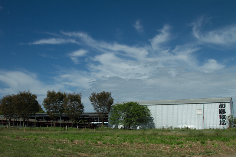 b0237408_21553565.jpg