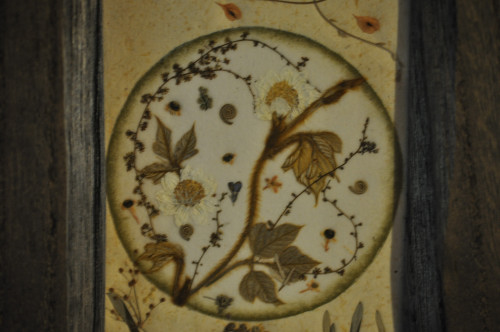 f0188408_1759667.jpg