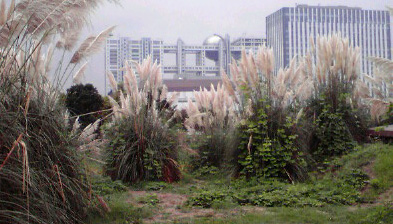 d0024809_14351661.jpg