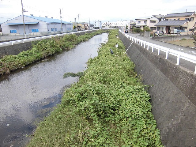 台風上陸を何とかかわしてセーフだった「小潤井川の草刈り」_f0141310_7182677.jpg