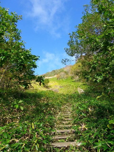 赤城山・地蔵岳_e0034313_8321082.jpg