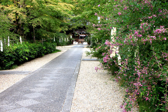 梨の木神社 例大祭_e0048413_20535010.jpg