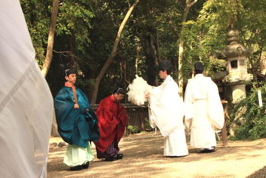 梨の木神社 例大祭_e0048413_20545022.jpg