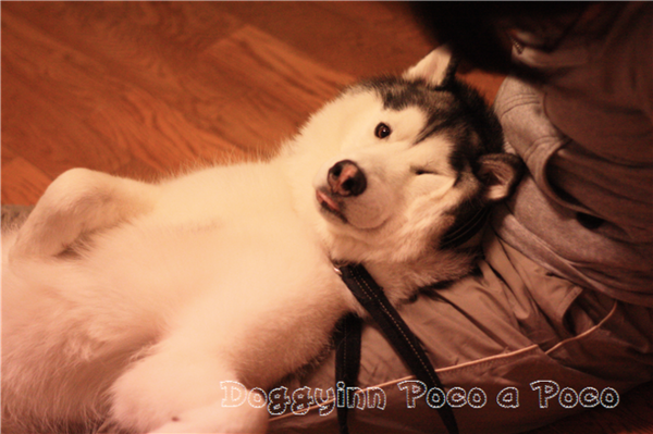 b0207615_21284712.png
