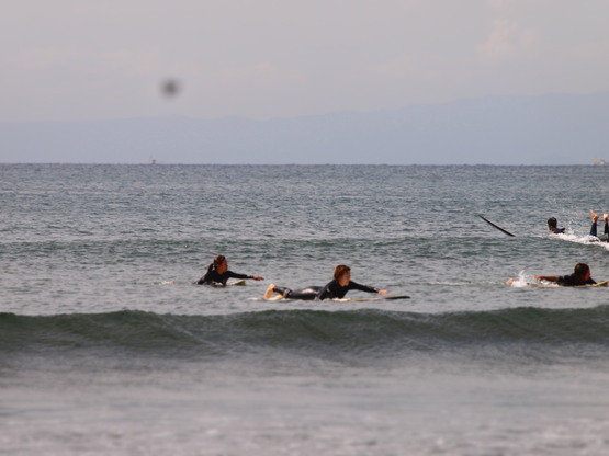 c0215524_2256559.jpg