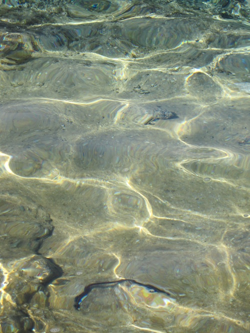 e0131324_23562497.jpg