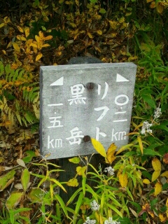 f0181524_1640356.jpg