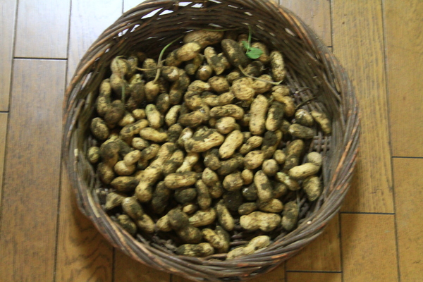 c0104227_1823229.jpg