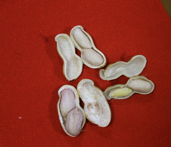 c0104227_18305124.jpg