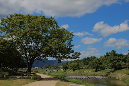 f0054428_050620.jpg