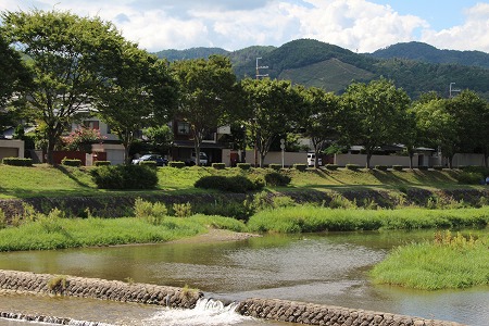 f0054428_053575.jpg