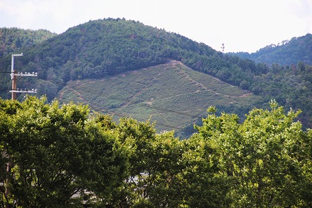 f0054428_057763.jpg