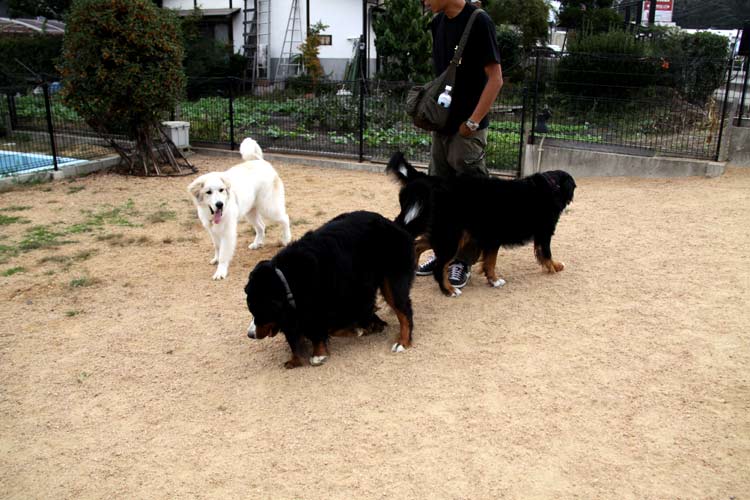 長野・岐阜旅行-その1～嬉しい再会（^0^）_a0151129_94381.jpg