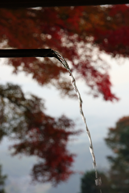 紅葉の大原野巡り －善峰寺（後編）－_b0169330_21132563.jpg