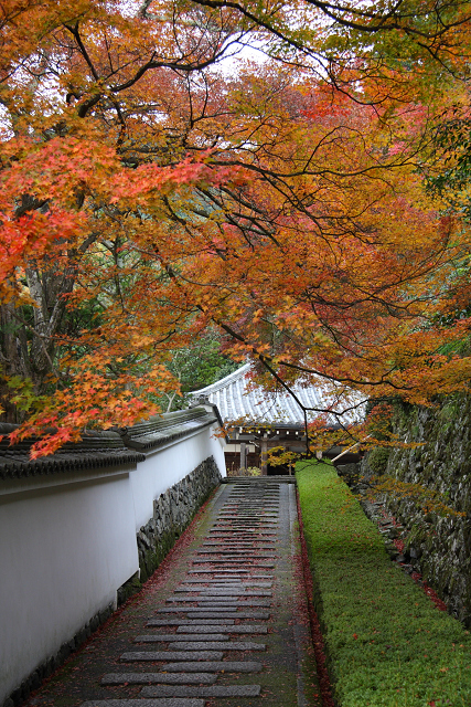 紅葉の大原野巡り －善峰寺（前編）－_b0169330_2141084.jpg