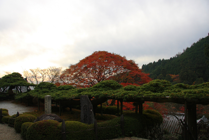 紅葉の大原野巡り －善峰寺（前編）－_b0169330_2143961.jpg