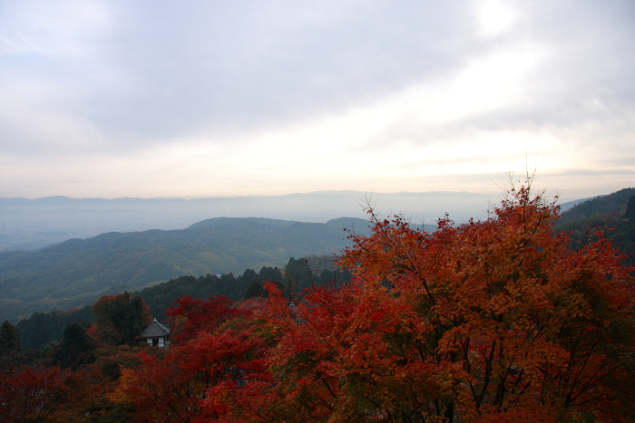 紅葉の大原野巡り －善峰寺（後編）－_b0169330_2311040.jpg