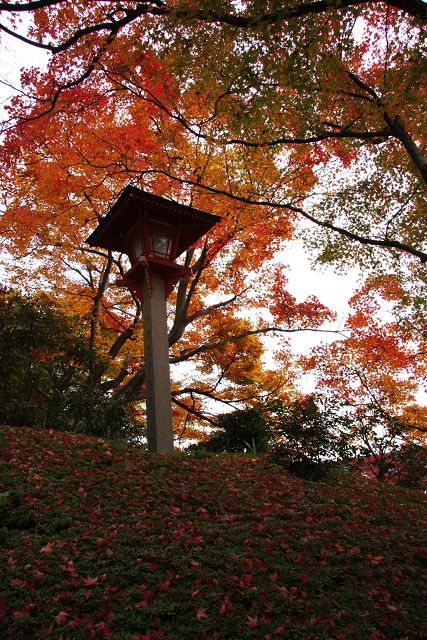 紅葉の大原野巡り －善峰寺（後編）－_b0169330_2313223.jpg