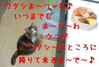 c0076330_23434649.jpg