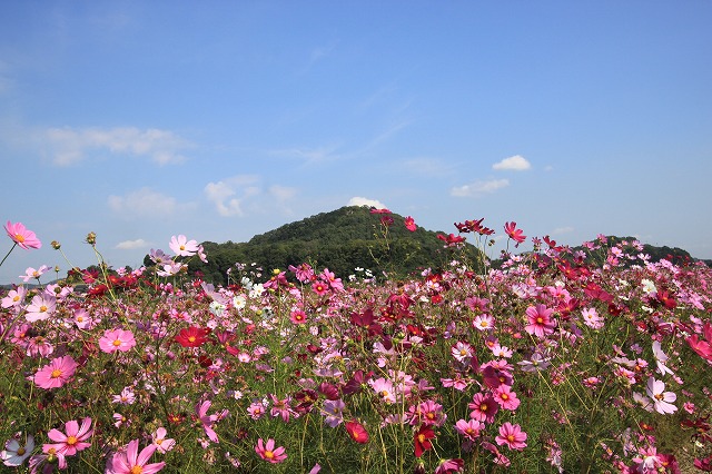 a0045932_19584728.jpg