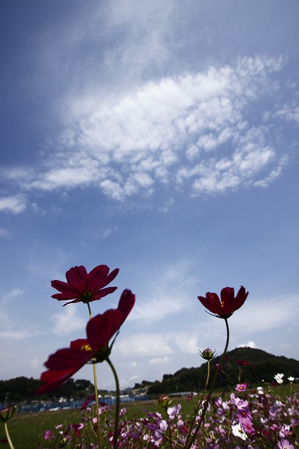a0045932_20142831.jpg