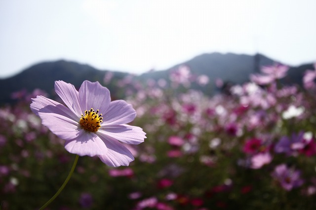 a0045932_2027468.jpg