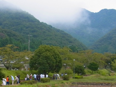 b0191932_22414793.jpg