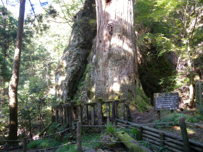 英彦山周回コースで神社巡り！_e0272335_9202636.jpg