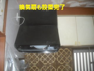 作業18.5日目_f0031037_2147539.jpg