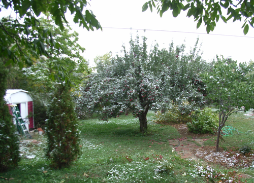 e0194142_1316274.png
