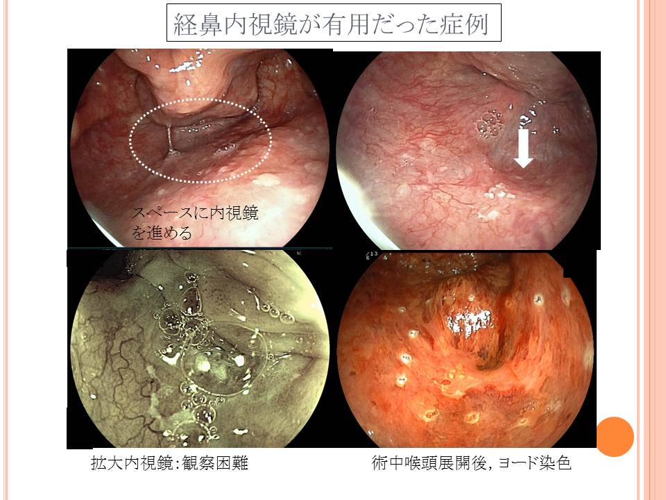 JDDW2012_b0180148_21545539.jpg