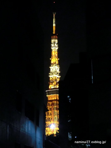 東京見物_e0218249_10292653.jpg