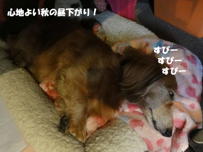 c0121550_17532490.jpg