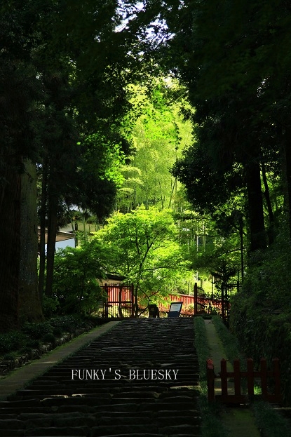 c0145250_11545687.jpg