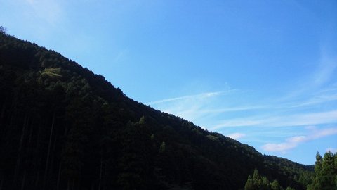 f0046250_1920082.jpg