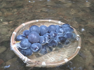 9月2週 いのちといのち_e0256851_1915974.jpg