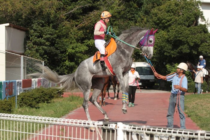 永森大智騎手、地方競馬通算500勝達成！！_a0077663_18383326.jpg