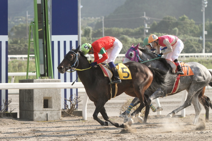 永森大智騎手、地方競馬通算500勝達成！！_a0077663_18393567.jpg