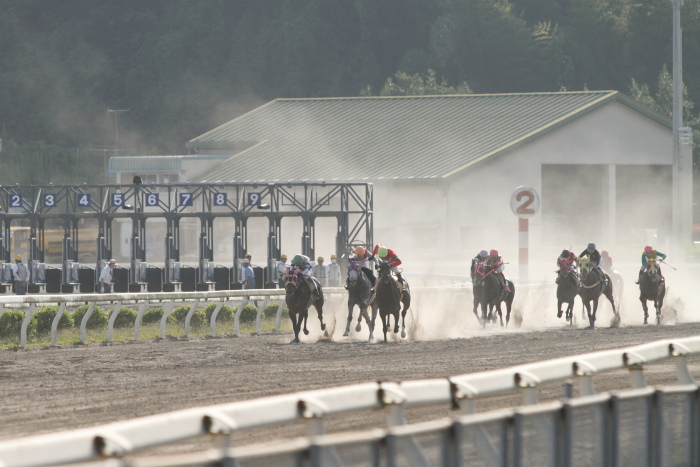 永森大智騎手、地方競馬通算500勝達成！！_a0077663_1839817.jpg