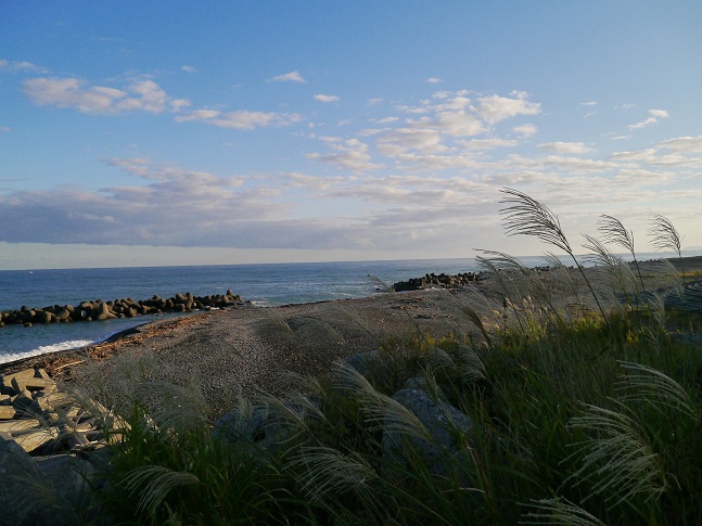 c0237264_20271046.jpg