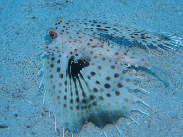 b0138768_0104692.jpg