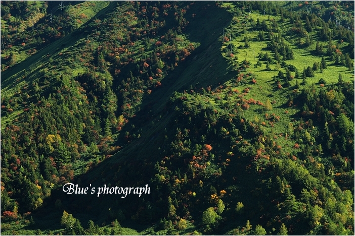 d0132769_21302347.jpg
