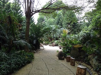 Singapore Botanic Gardens. (Part 1)_d0224170_2252472.jpg