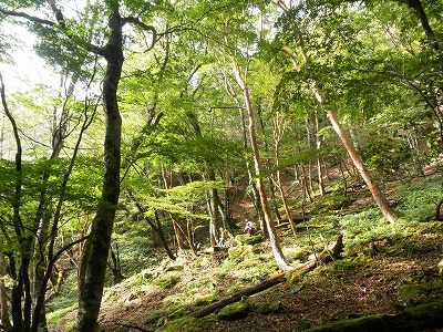 f0057070_22262949.jpg